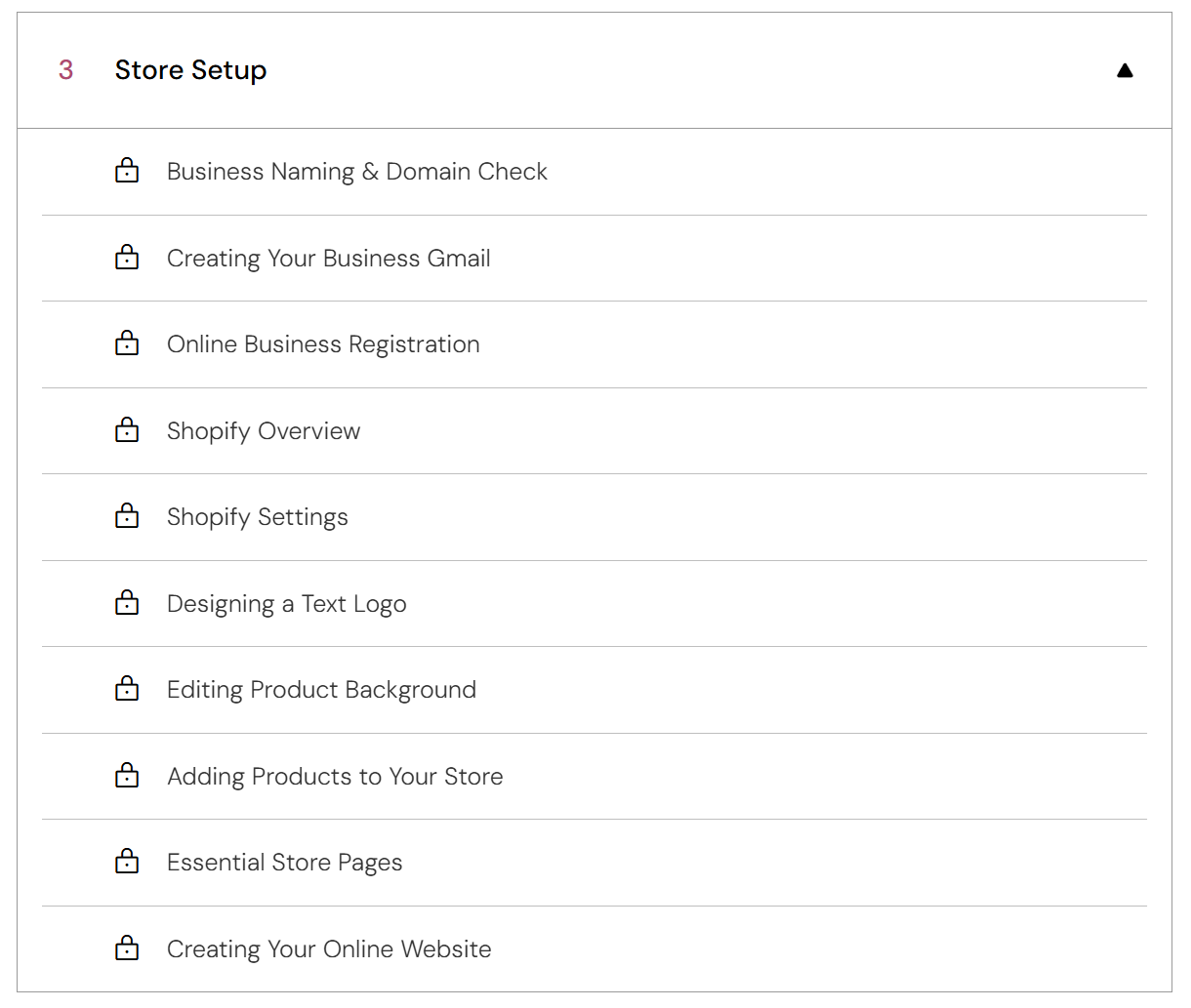Build Your Own E-commerce Business from Home